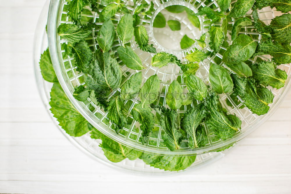 Similar – Green vegetables and greens in open refrigerator