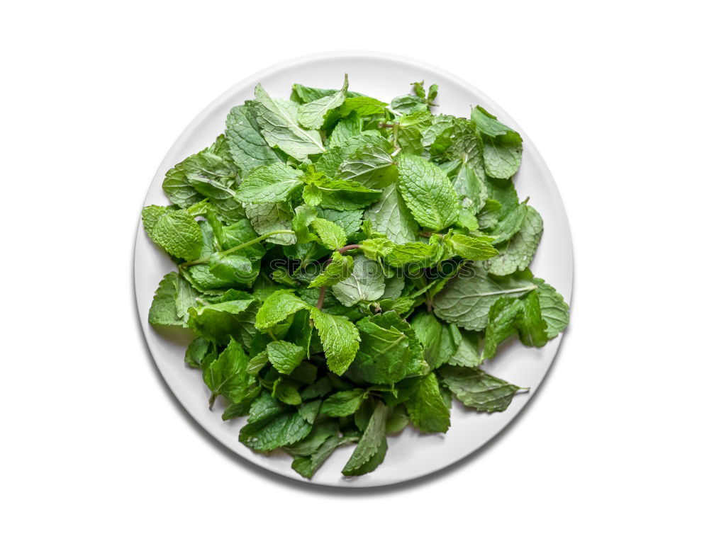 Image, Stock Photo Organic lamb’s lettuce