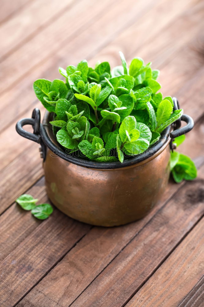 Similar – Image, Stock Photo Fresh spinach leaves and cooking spoons