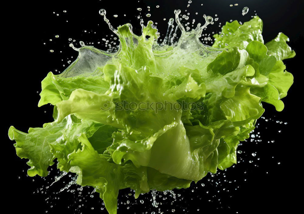 Similar – Image, Stock Photo parsley Food