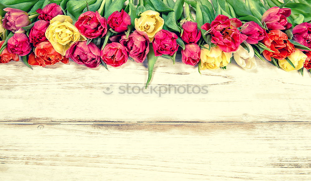 Similar – Image, Stock Photo Flowers on red wooden table