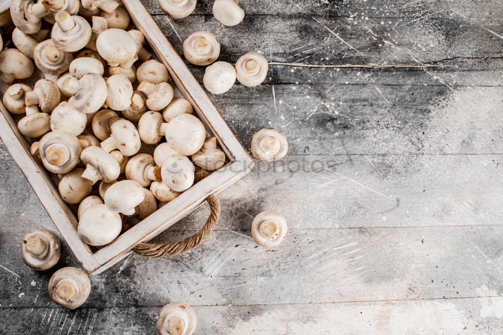 Similar – Image, Stock Photo Removing the grains of a head of garlic