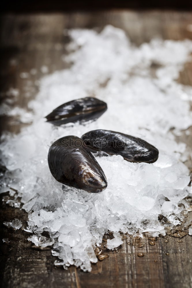Similar – Foto Bild Es gibt Fisch, Baby!