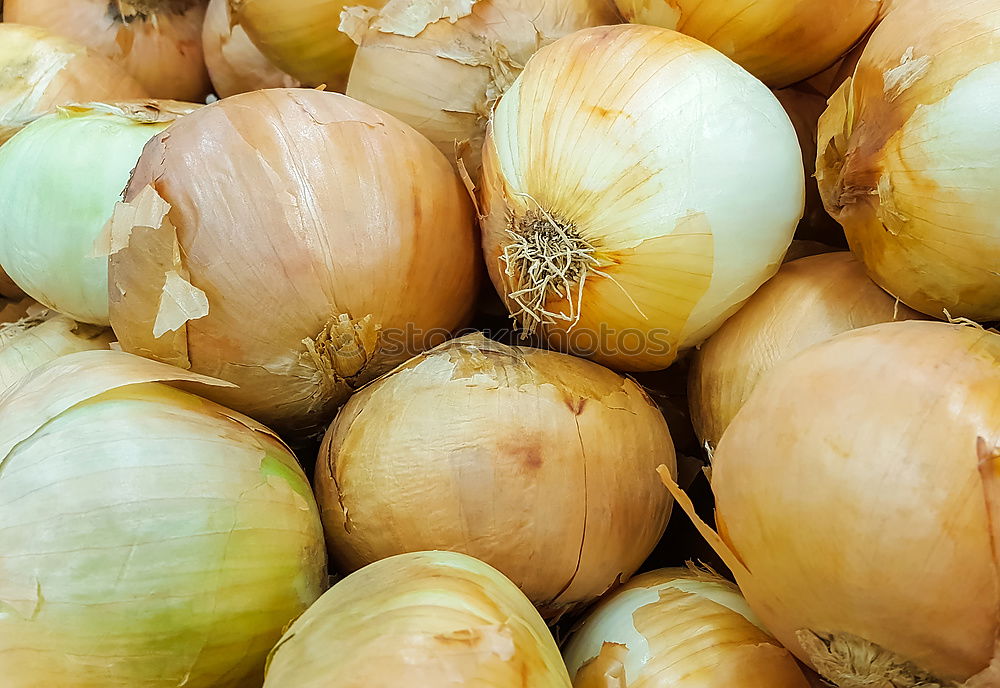 Knoblauch Lebensmittel