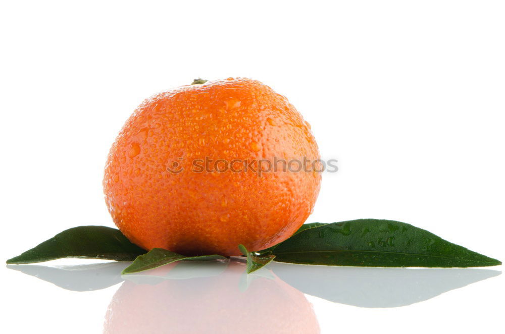 Similar – Image, Stock Photo Orange with leaf Fruit