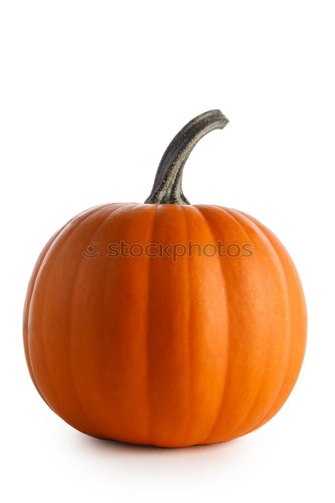 Similar – Image, Stock Photo Pumpkin on rustic wood