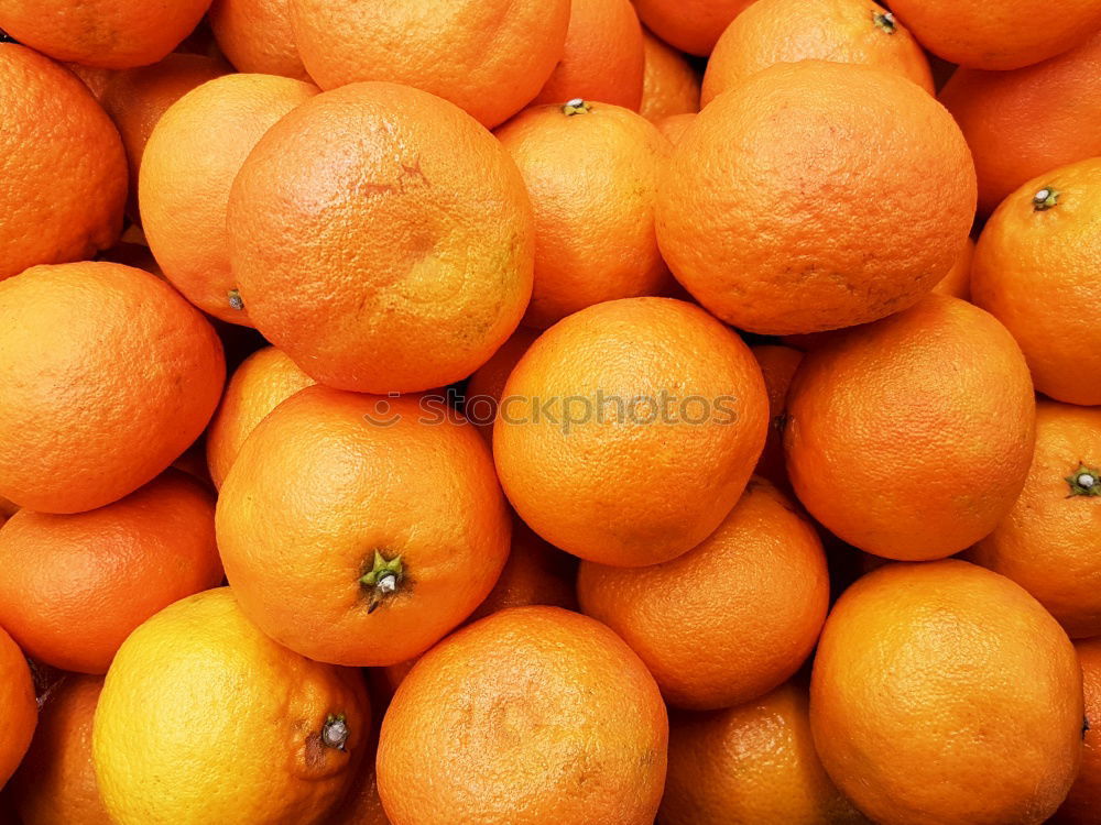 Similar – orange case Citrus fruits