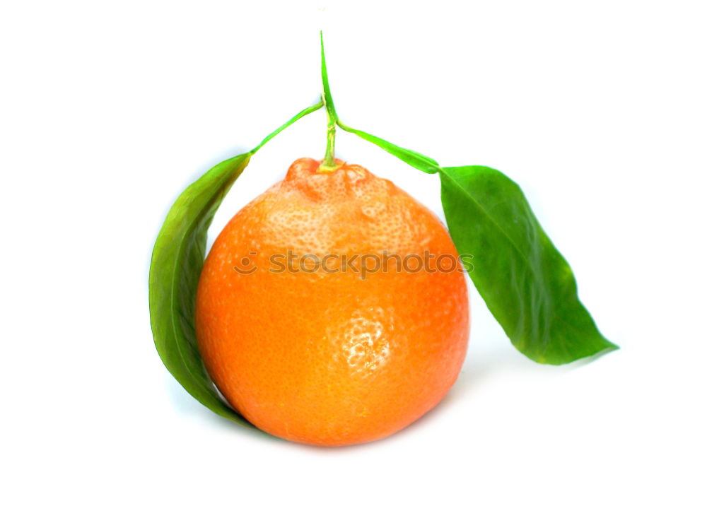 Similar – Image, Stock Photo Orange with leaf Fruit