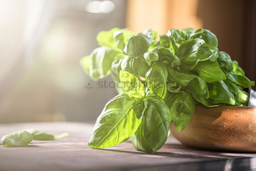 Similar – Growing vegetables in tubs on balcony