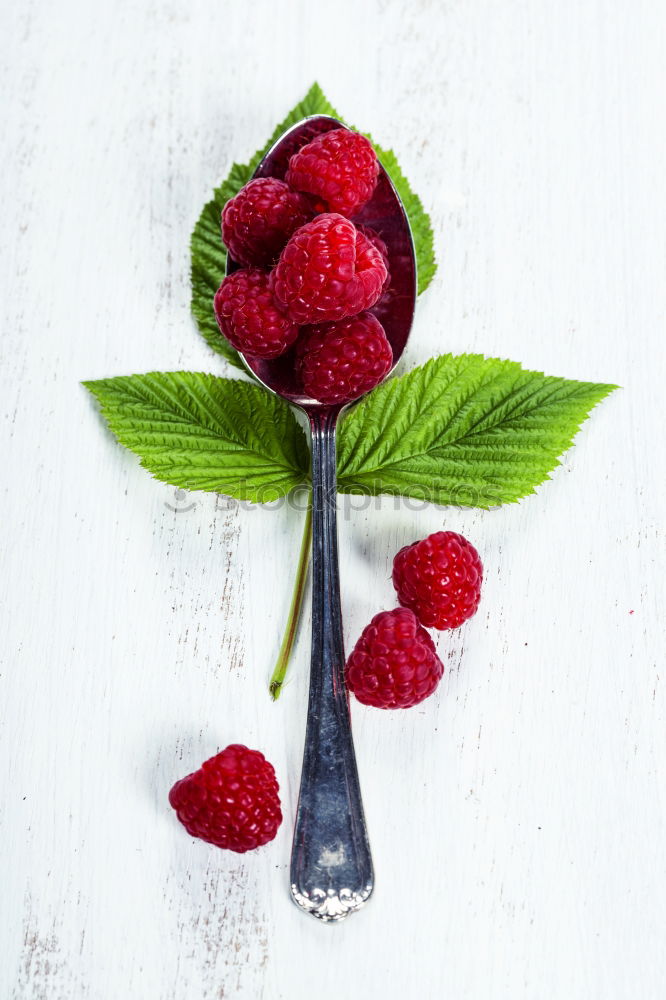 Similar – Delicious berry ice cream on a stick