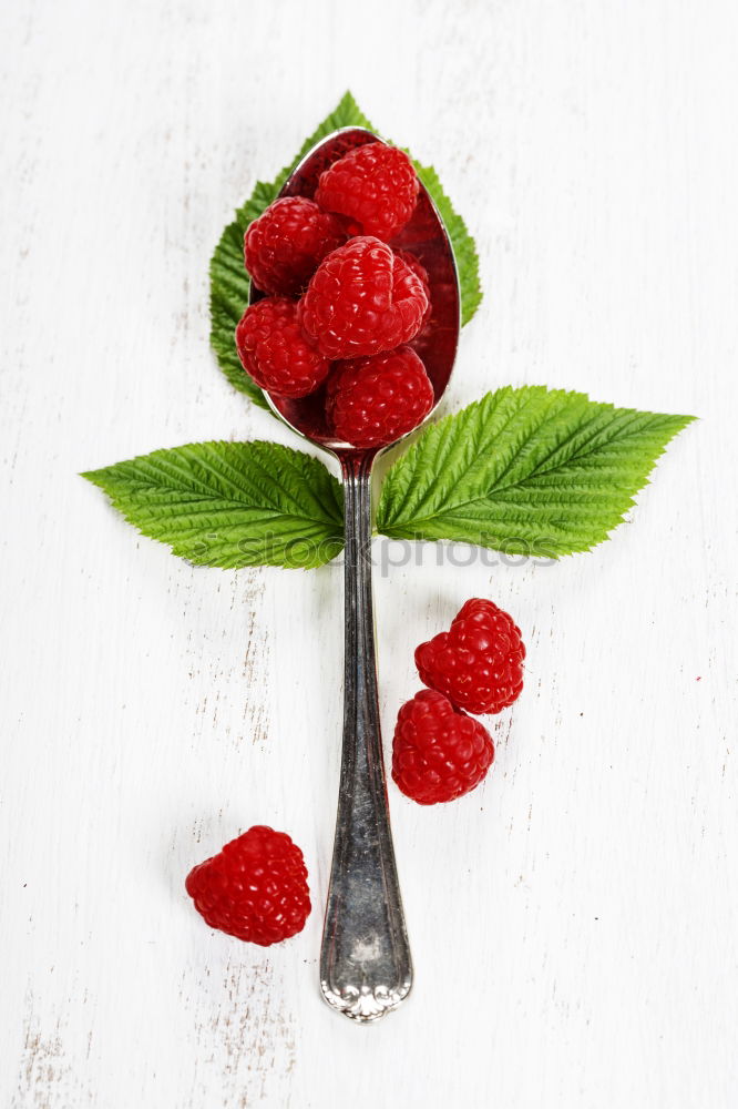 Delicious berry ice cream on a stick