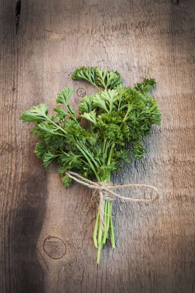 Similar – Image, Stock Photo Fresh sage leaves Food