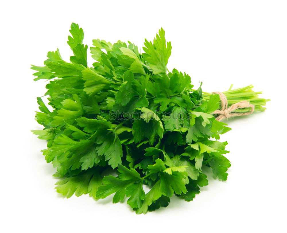 Similar – ingredient Parsley