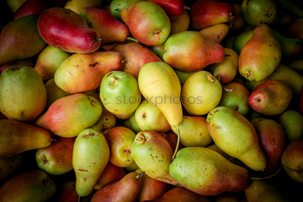 Similar – Image, Stock Photo apple harvest Environment