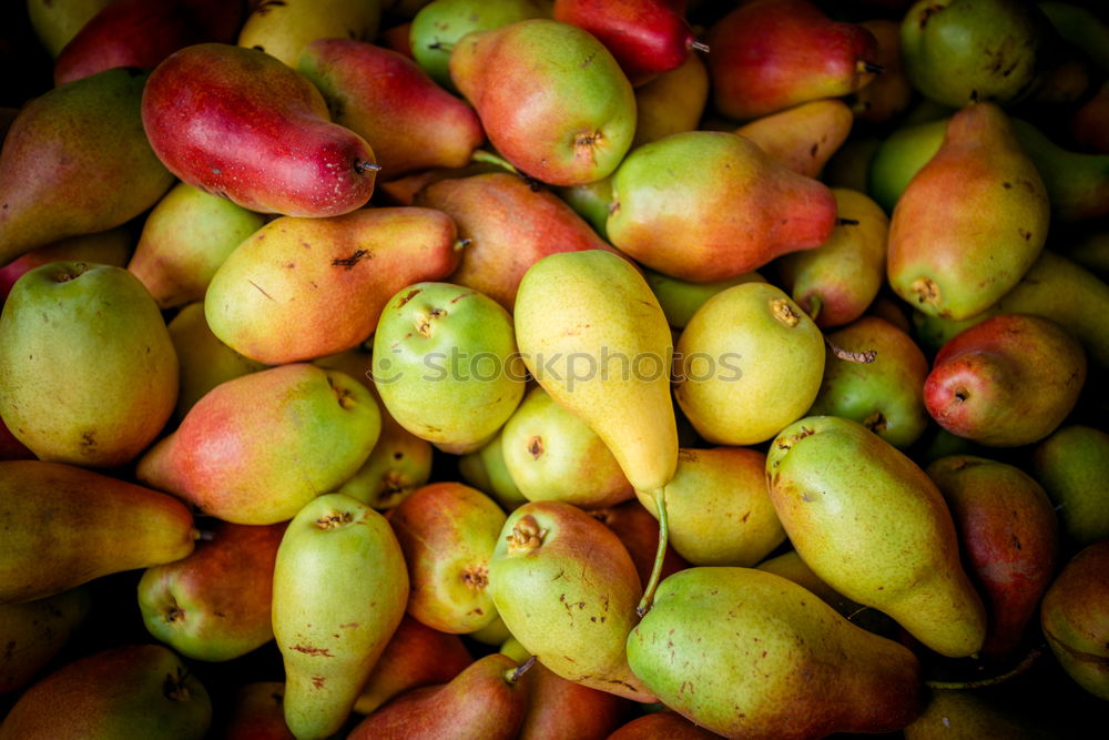 Similar – Image, Stock Photo apple harvest Environment