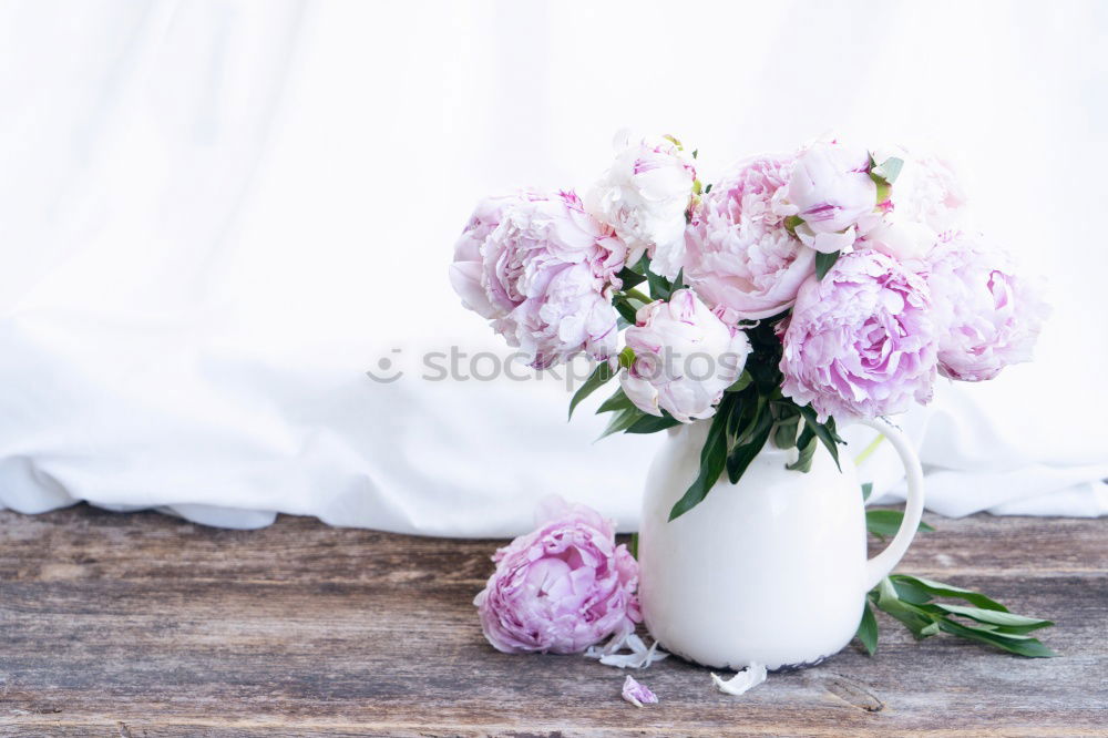 Similar – Image, Stock Photo Female hands hold handmade green soap