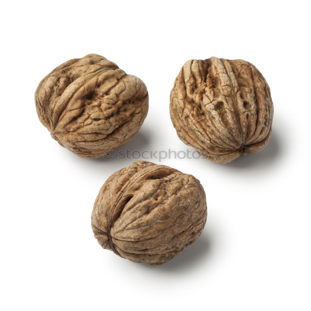 walnuts Food Nut Walnut