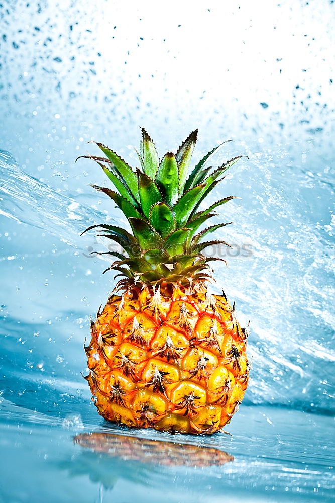 Similar – Image, Stock Photo Flying Pineapple Fruit