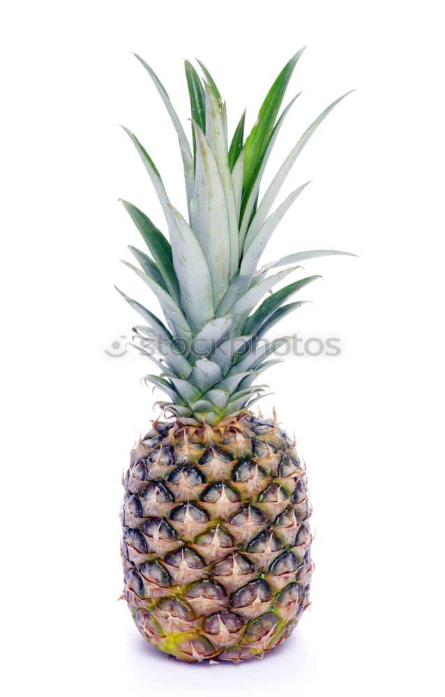 Similar – Image, Stock Photo #A# STAY CALM Art
