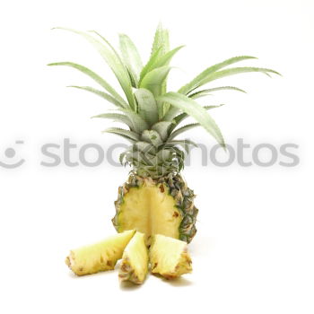 Similar – Pineapple in an armchair