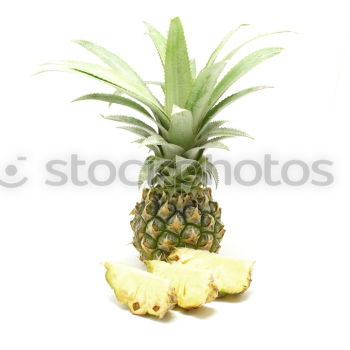 Similar – Pineapple in an armchair