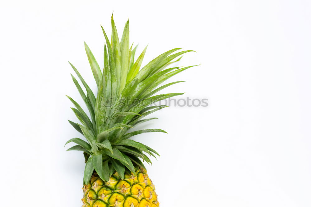 Similar – Image, Stock Photo #AS# Pineapple Trophy