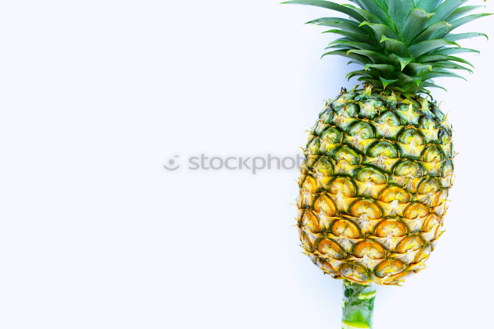 Similar – Image, Stock Photo #AS# Pineapple single wrapped