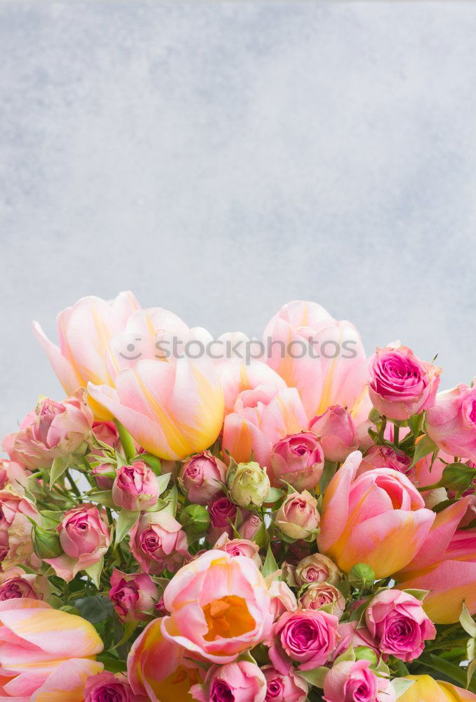 Similar – Image, Stock Photo Frame with colorful flowers