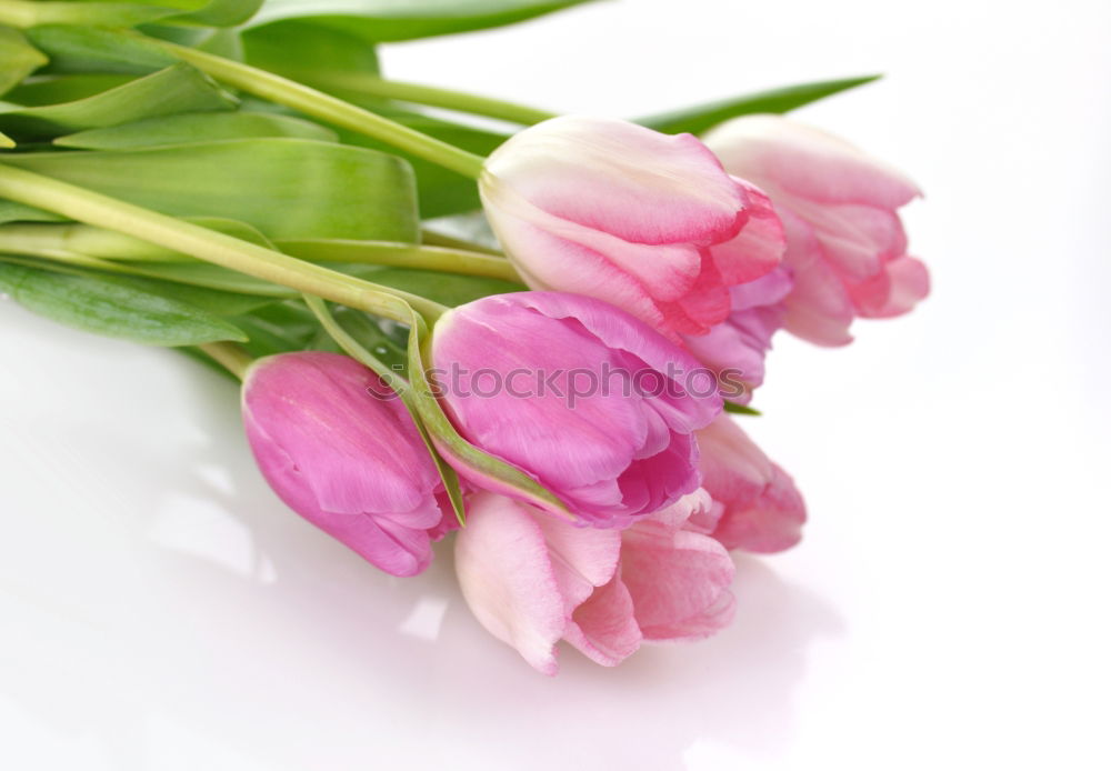 Similar – Image, Stock Photo love of flowers Plant