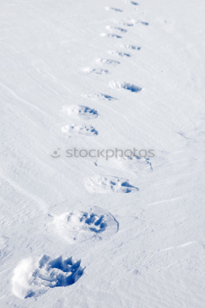 Similar – Foto Bild Auf den Spuren von