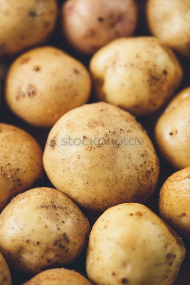 Similar – Potatoes with dirt