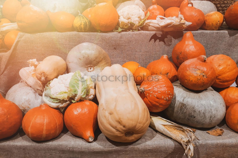 Pumpkins on the market