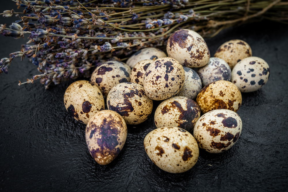 Similar – Planting potatoes