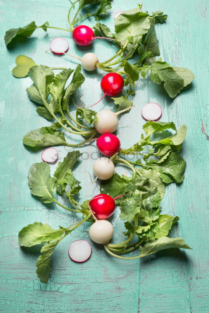 Similar – Image, Stock Photo White and red radishes with leaves