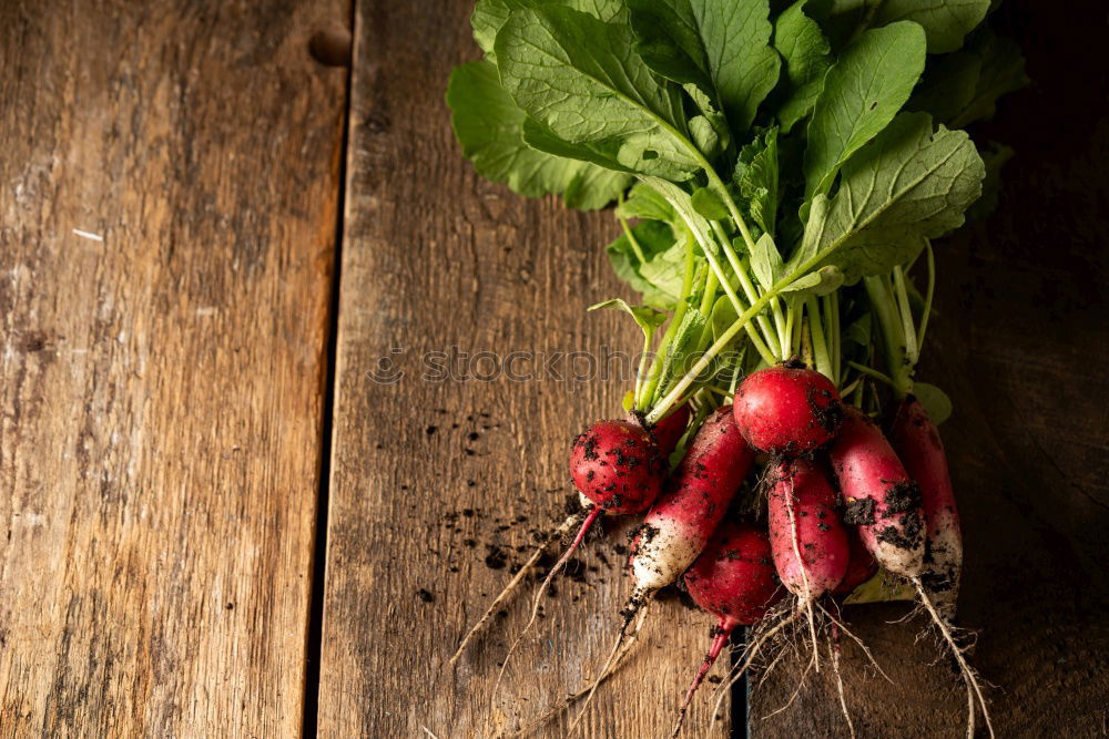 Similar – Image, Stock Photo Fresh beetroot in different varieties on an old wooden table