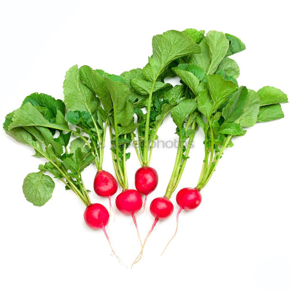 Similar – radish Food Vegetable