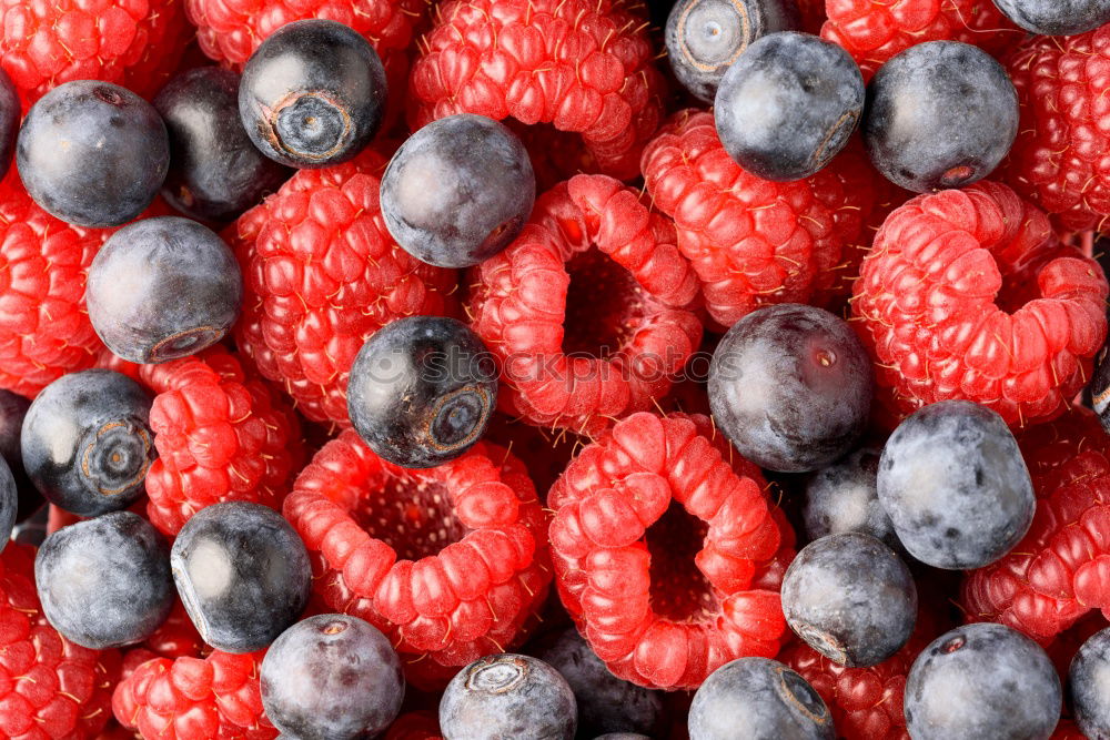 Similar – berry Food Fruit Nutrition