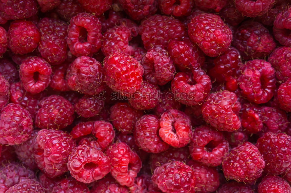 Similar – Image, Stock Photo Raspberries in close-up