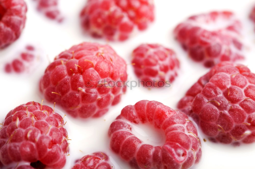 Similar – Himbeeren Lebensmittel