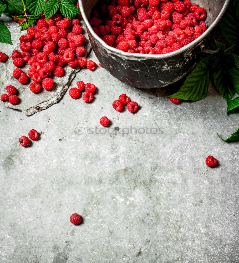 Similar – Cranberries in a bowl