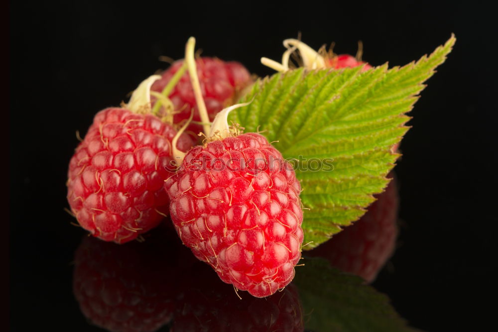 Similar – Image, Stock Photo frozen raspberries and blackberries