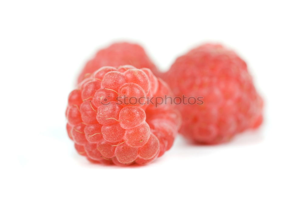 Similar – Image, Stock Photo 3 x 3 Food Dessert Berries