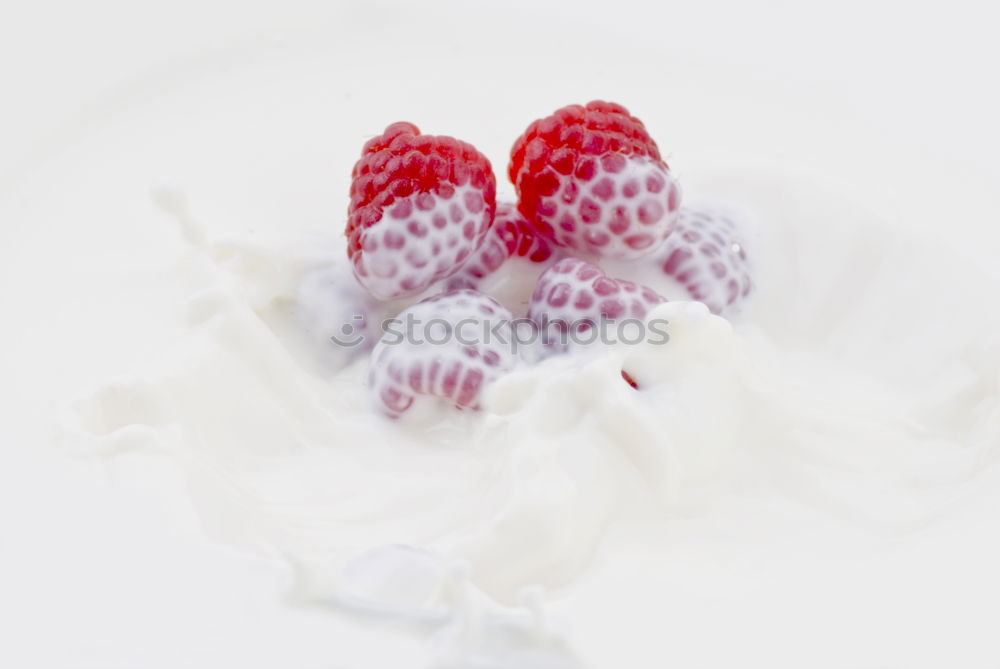 Similar – Image, Stock Photo soft drink Food Fruit