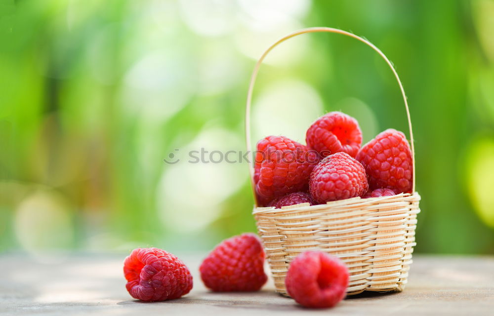 Similar – Image, Stock Photo freshly dished up Food