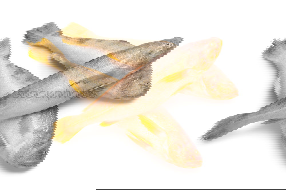 Similar – Image, Stock Photo Cod filleting in Alt Sushi