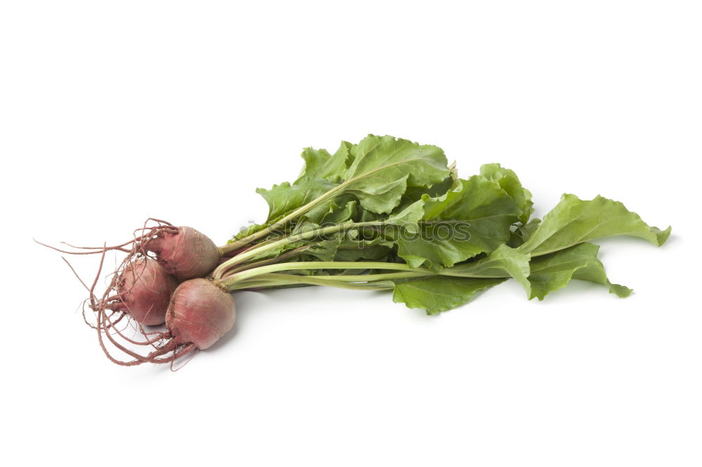 Similar – radish Food Vegetable