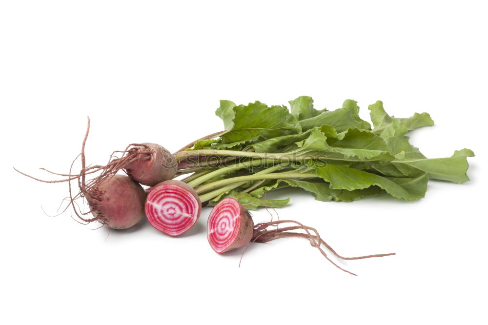 Similar – radish Food Vegetable