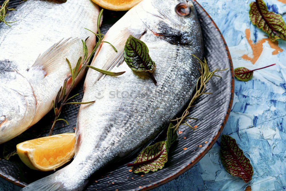 Similar – Raw fish. Sea bream, sea bass, mackerel and sardines