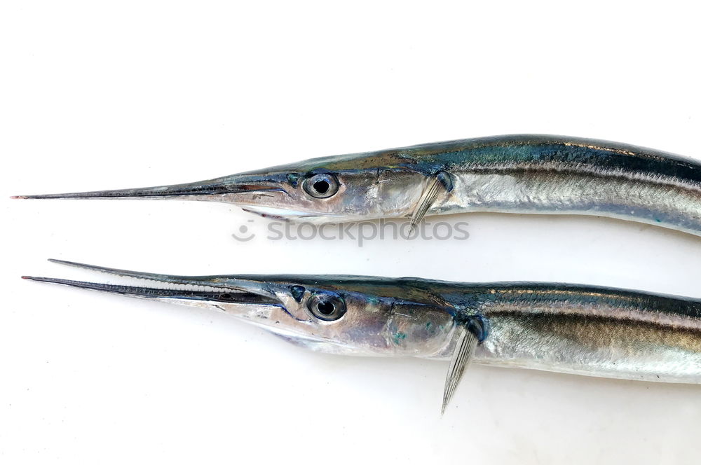 Similar – Image, Stock Photo raw trout on white paper