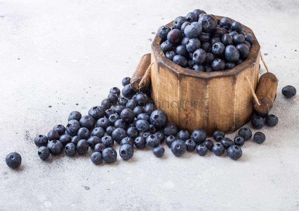 Similar – Image, Stock Photo Tasmanian mountain pepper